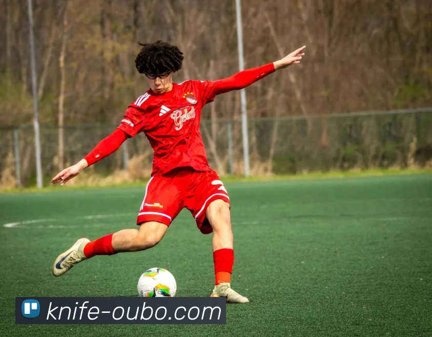 欧博官网APP 封面图